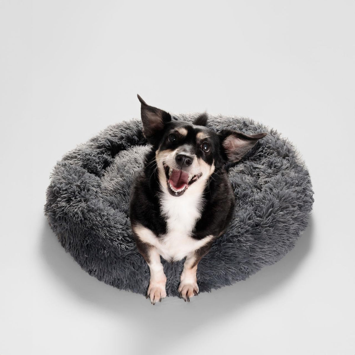 Cama tipo dona para perros y gatos – ¡Envío gratis!